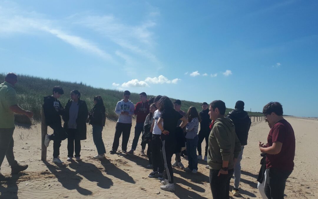 Découvrir l’écosystème forestier et littoral sur le terrain